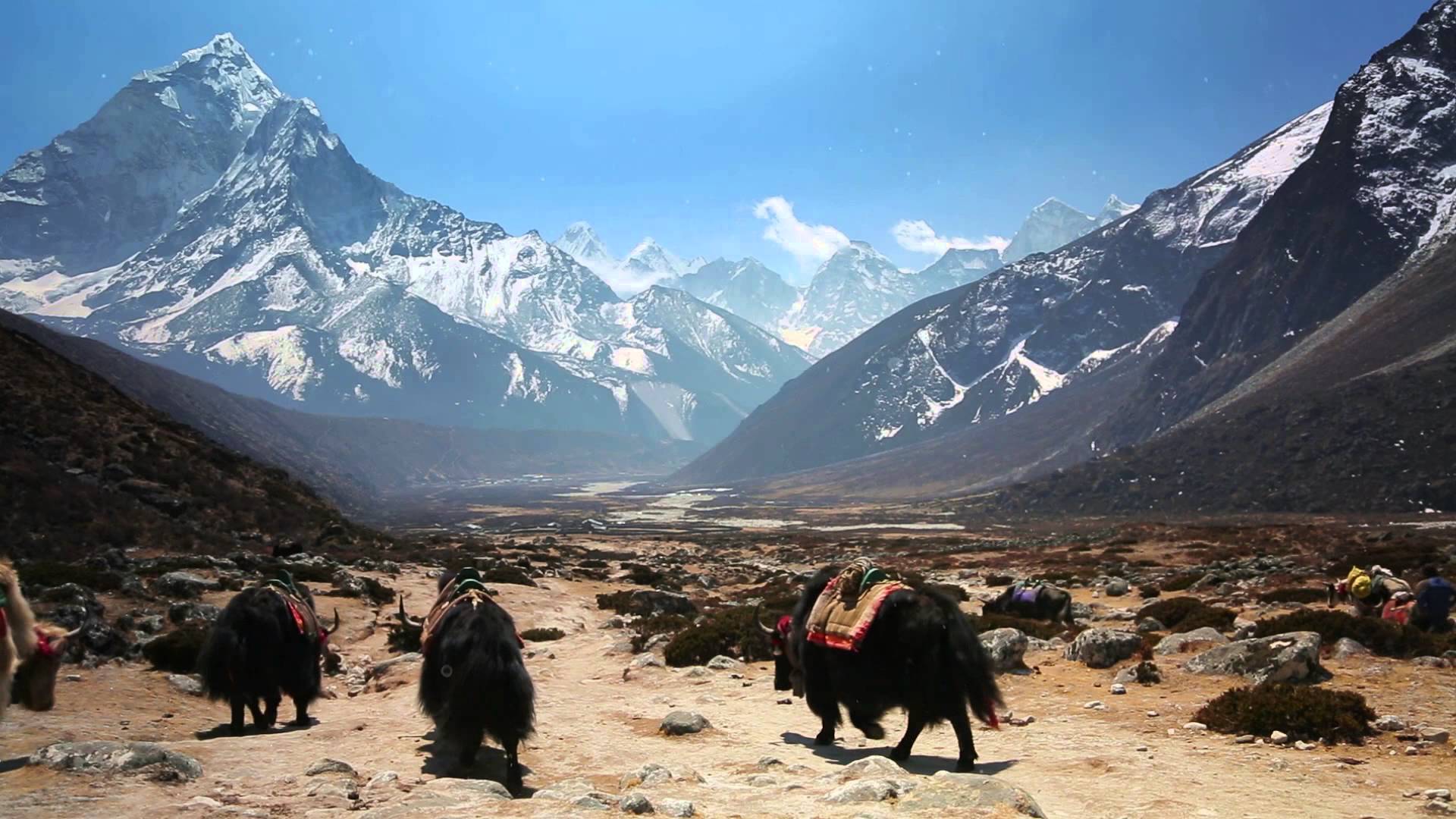 El Campo Base del Everest en Google Maps