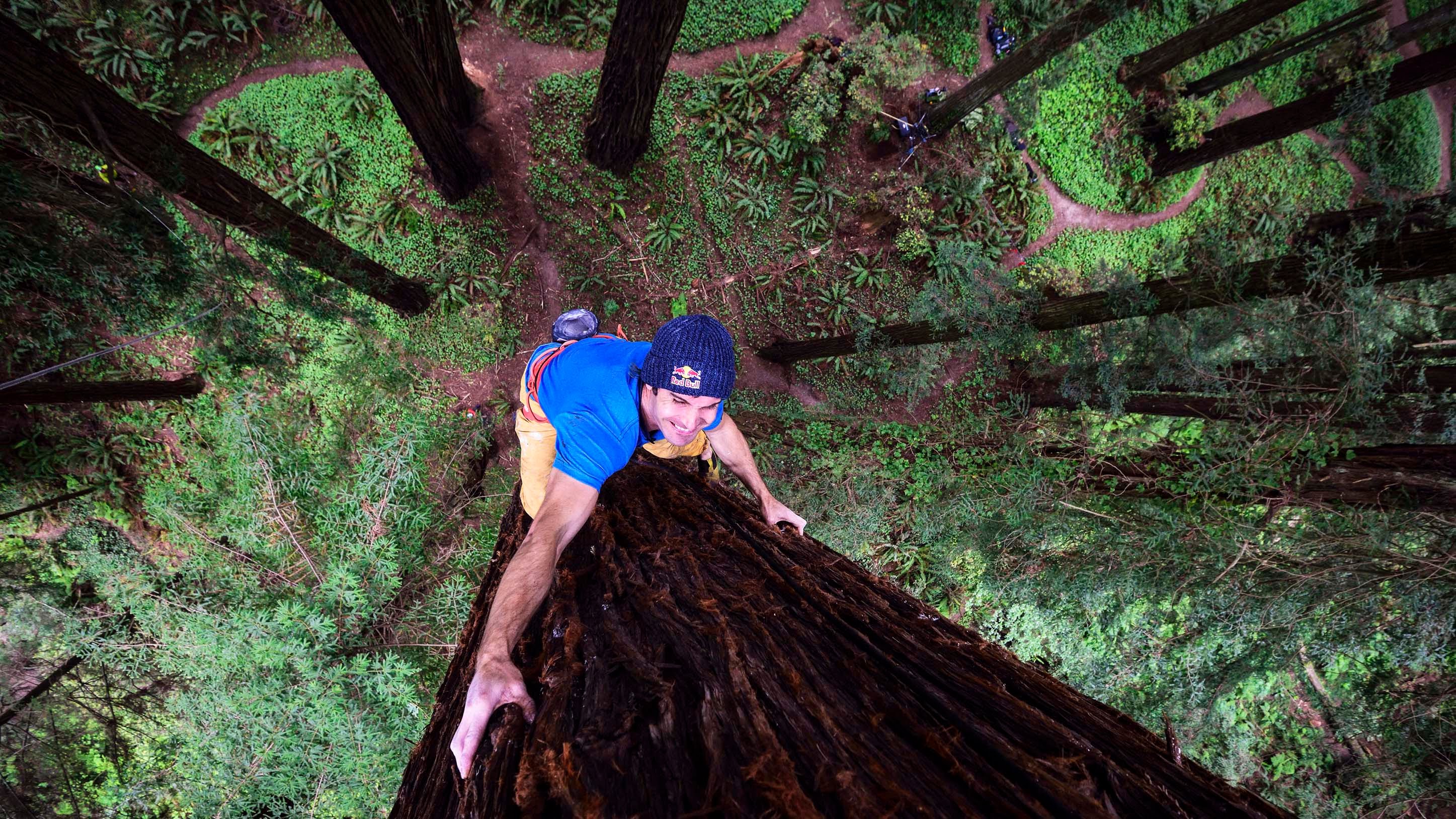 Cris Sharma escala en solo una sequoia gigante